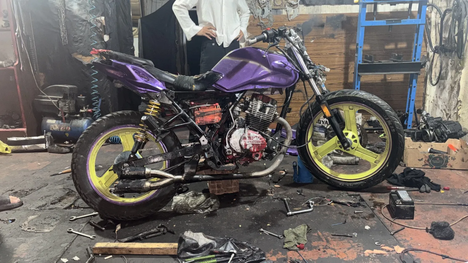 Falcon Shark 188 2019